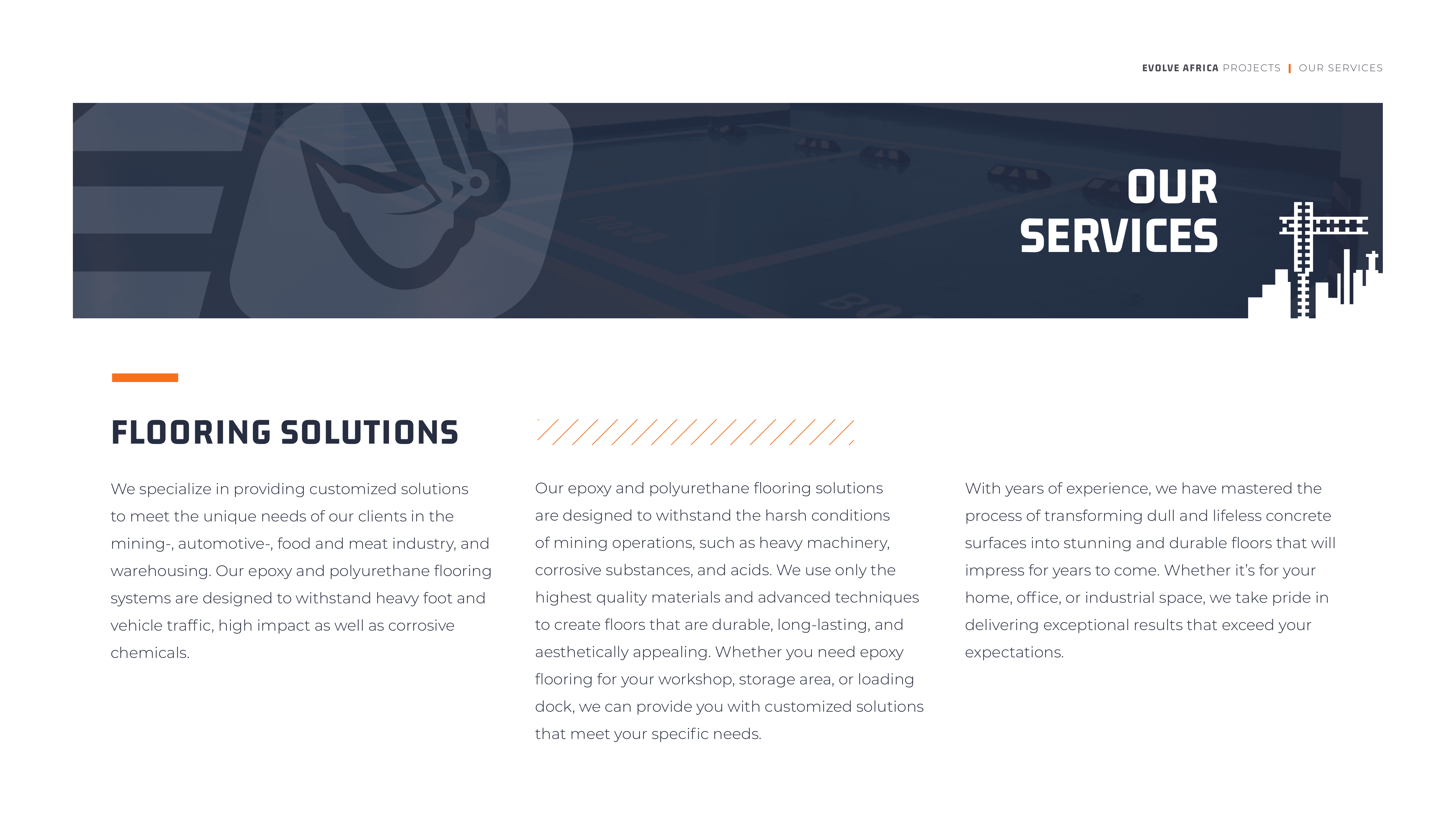 Evolve Africa Company Profile Draft V2-07